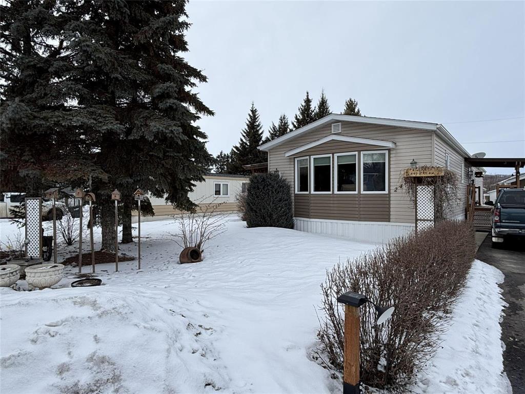 249 1st Avenue Sw, Minnedosa, Manitoba  R0J 1E0 - Photo 3 - 202605596