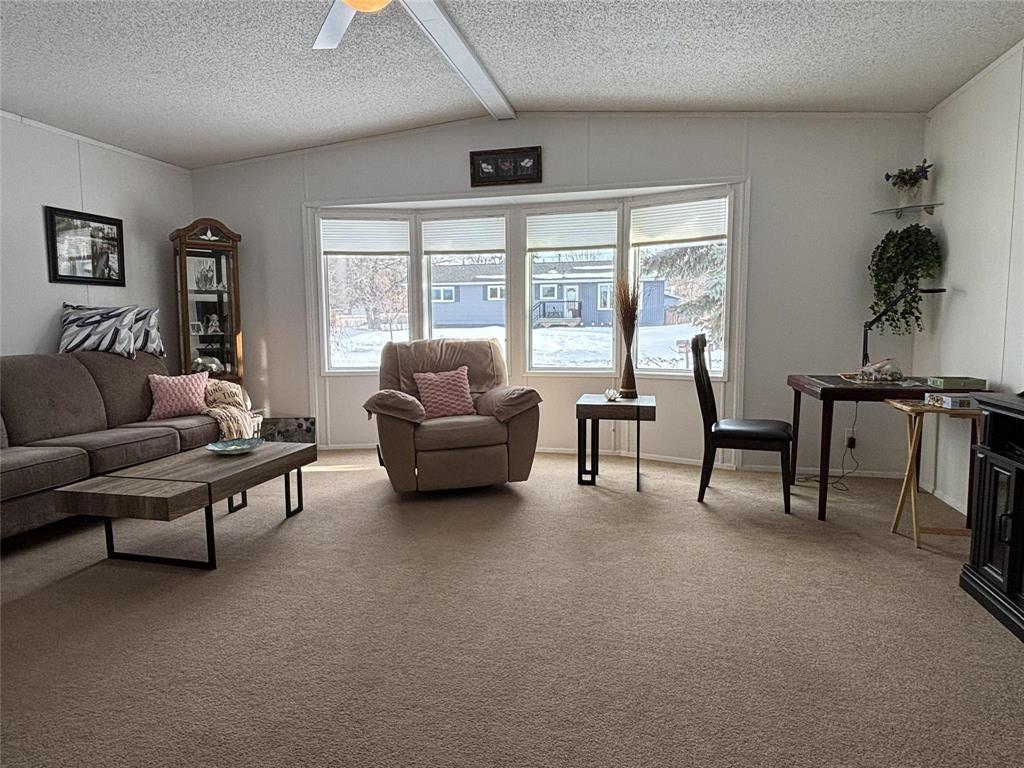 249 1st Avenue Sw, Minnedosa, Manitoba  R0J 1E0 - Photo 9 - 202605596