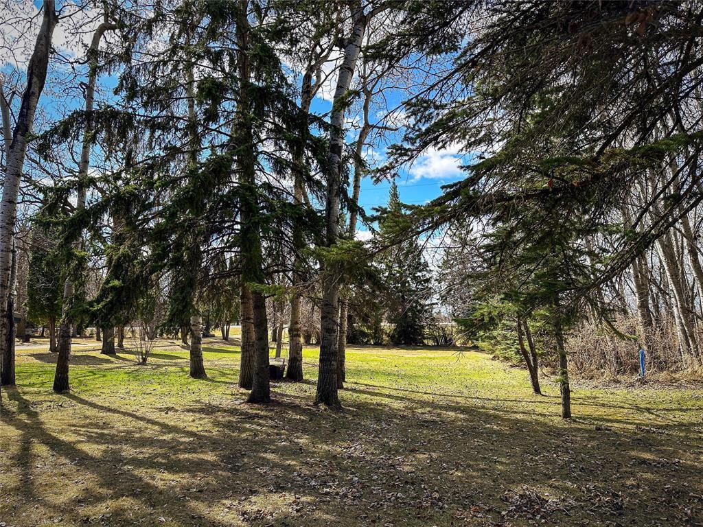 83045 Pth 16 Highway, Neepawa, Manitoba  R0J 1H0 - Photo 43 - 202609330