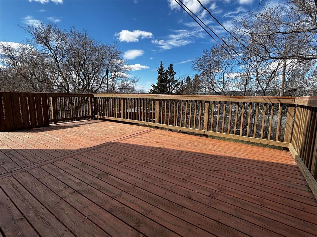 213 4th Avenue Sw, Minnedosa, Manitoba  R0J 1E0 - Photo 2 - 202609923