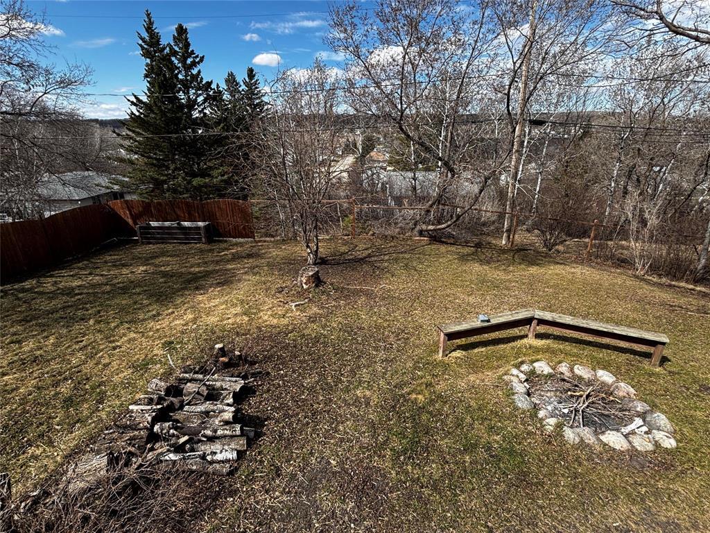 213 4th Avenue Sw, Minnedosa, Manitoba  R0J 1E0 - Photo 3 - 202609923