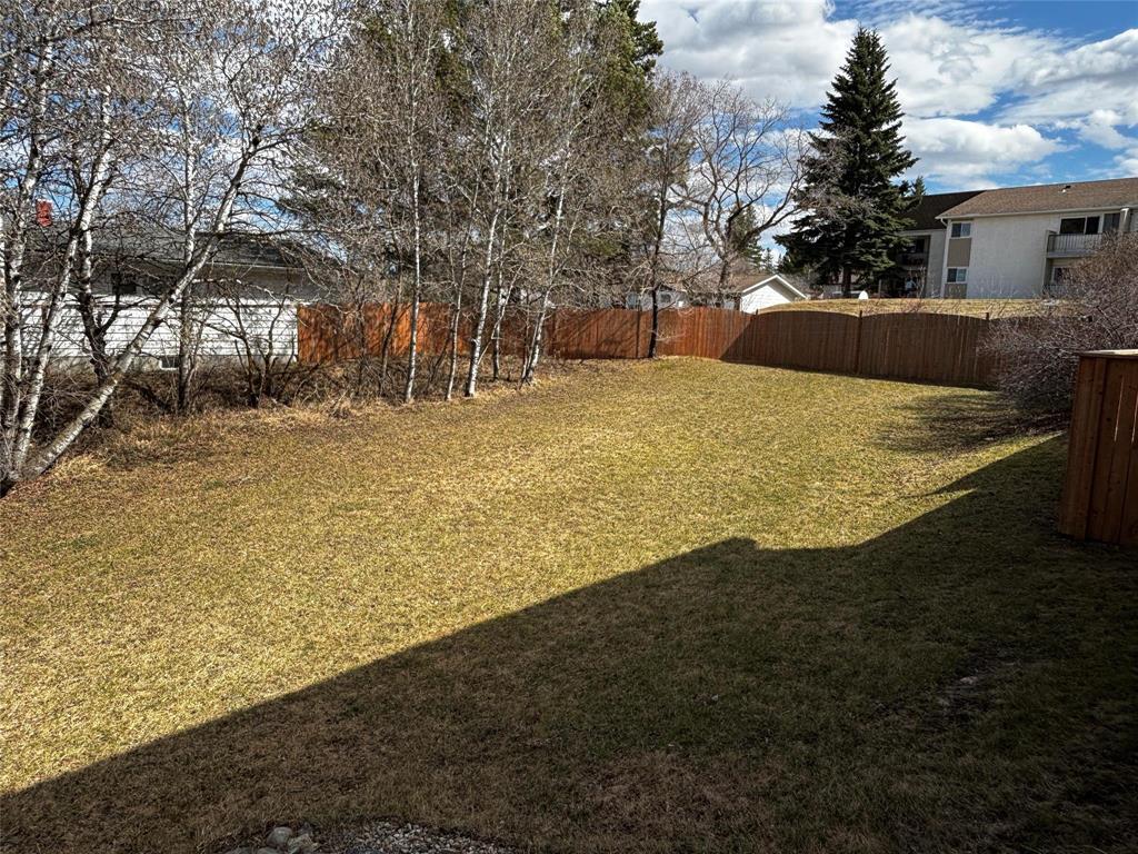 213 4th Avenue Sw, Minnedosa, Manitoba  R0J 1E0 - Photo 5 - 202609923