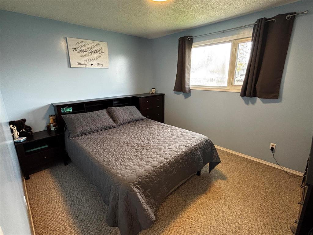 172 7th Avenue Sw, Minnedosa, Manitoba  R0J 1E0 - Photo 11 - 202612569