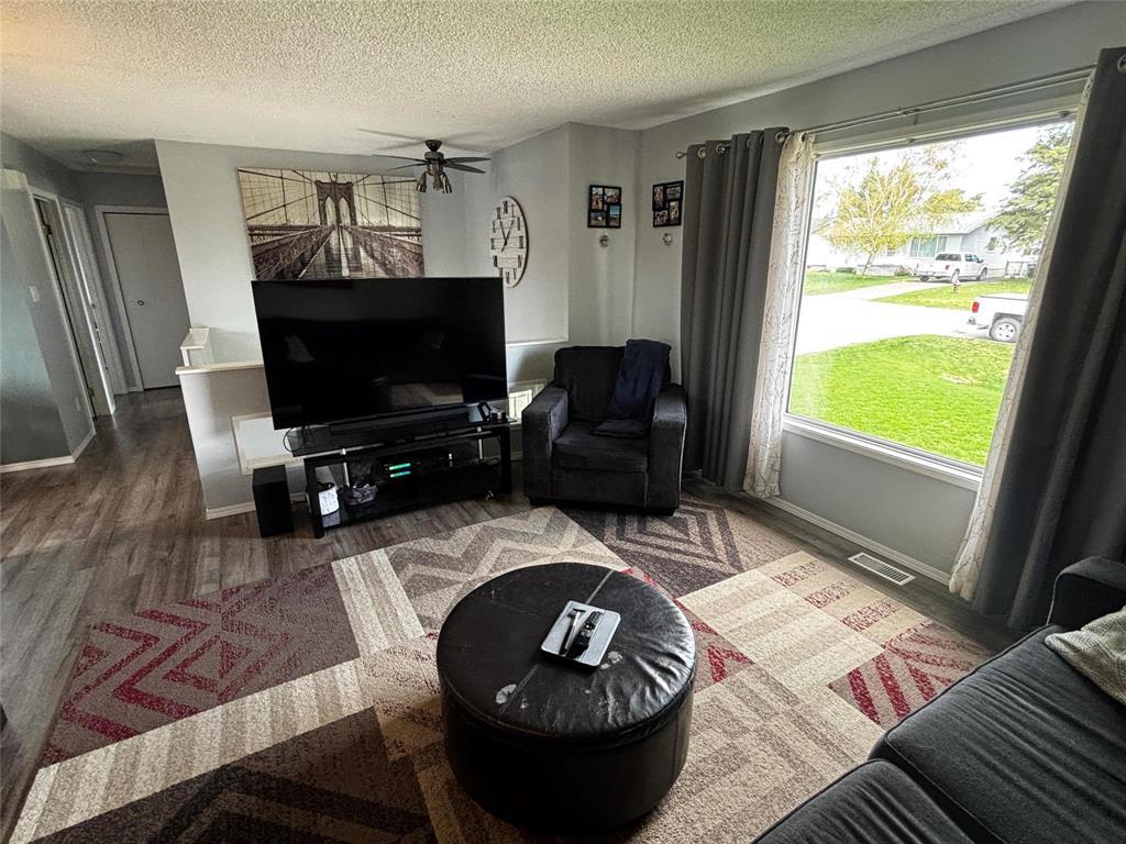 172 7th Avenue Sw, Minnedosa, Manitoba  R0J 1E0 - Photo 6 - 202612569