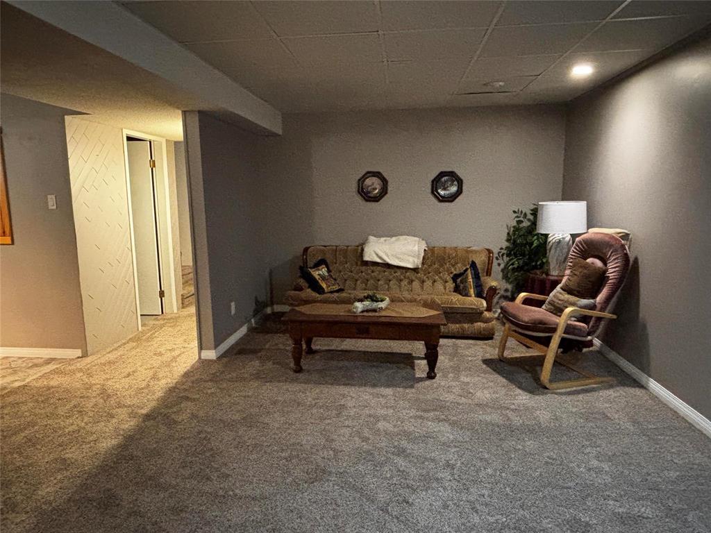 188 7th Avenue Sw, Minnedosa, Manitoba  R0J 1E0 - Photo 18 - 202616742