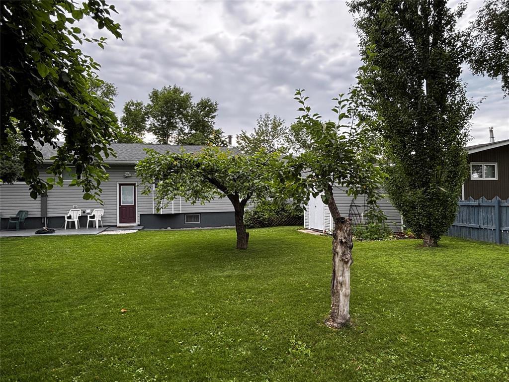 188 7th Avenue Sw, Minnedosa, Manitoba  R0J 1E0 - Photo 36 - 202616742
