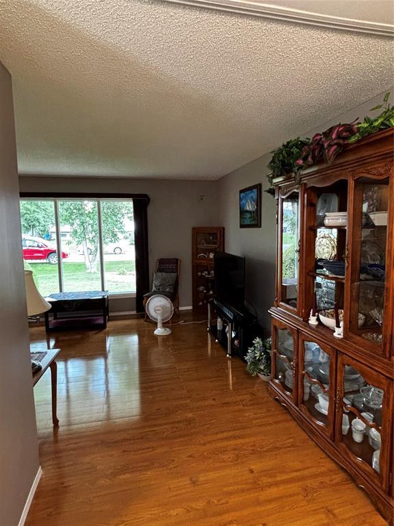 188 7th Avenue Sw, Minnedosa, Manitoba  R0J 1E0 - Photo 5 - 202616742
