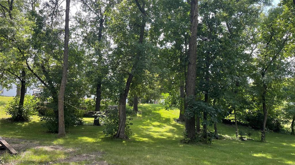 Unknown Address, Gladstone, Manitoba  R0J 0T0 - Photo 41 - 202620296